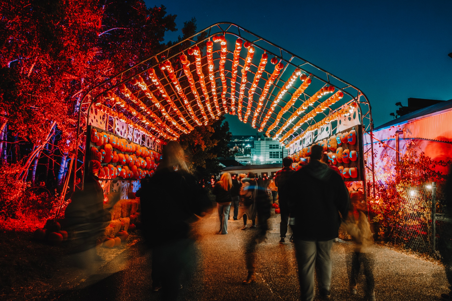 Families walking under the glowing pumpkin entrance arch at dusk